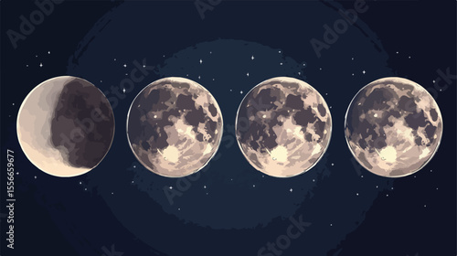 Four Moon Phases Set Flat Vector Illustration