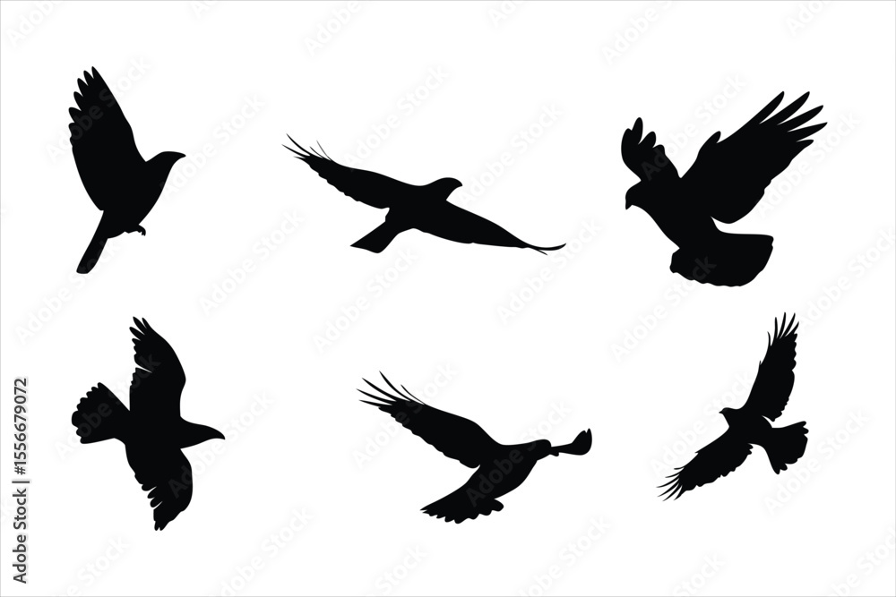 Obraz premium Flying Birds Silhouettes Collection - Majestic Eagle and Hawk Flight Vectors