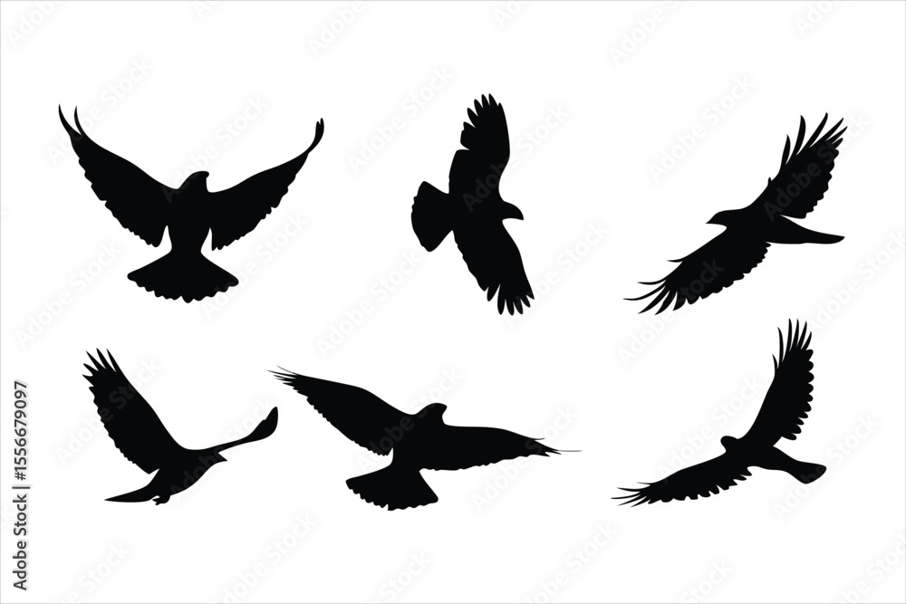Fototapeta premium Flying Birds Silhouettes Collection - Majestic Eagle and Hawk Flight Vectors