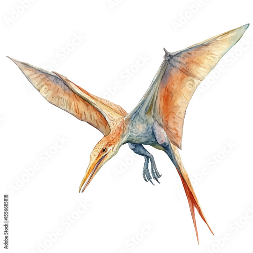 watercolor vector of Rhamphorhynchus, isolated on a white background.