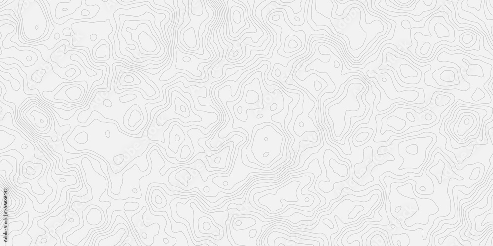 Topographic white and bright light grey stylized line essential for effectively communicating the focus and scope of a map or survey. A well-crafted provides clarity on the geographic area. Topographic white and bright light grey stylized line essential for effectively communicating the focus and scope of a map or survey. A well-crafted provides clarity on the geographic area.