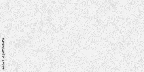 Topographic white and bright light grey stylized line essential for effectively communicating the focus and scope of a map or survey. A well-crafted provides clarity on the geographic area.