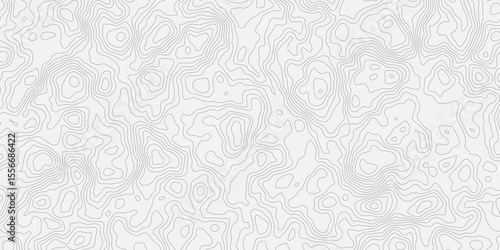 Topographic white and bright light grey stylized line essential for effectively communicating the focus and scope of a map or survey. A well-crafted provides clarity on the geographic area.