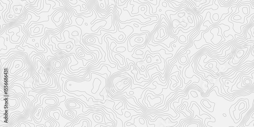 Topographic white and bright light grey stylized line essential for effectively communicating the focus and scope of a map or survey. A well-crafted provides clarity on the geographic area.