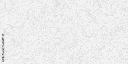 Topographic white and bright light grey stylized line essential for effectively communicating the focus and scope of a map or survey. A well-crafted provides clarity on the geographic area.