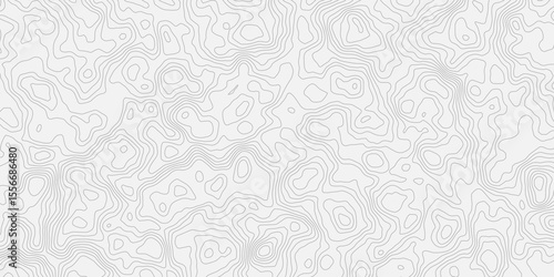 Topographic white and bright light grey stylized line essential for effectively communicating the focus and scope of a map or survey. A well-crafted provides clarity on the geographic area.