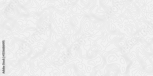 Topographic white and bright light grey stylized line essential for effectively communicating the focus and scope of a map or survey. A well-crafted provides clarity on the geographic area.