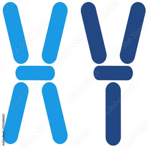 The x and y chromosome icon are shown in a simple design determining gender in humans in the field of genetics, biology, especially in the context of fetal health.