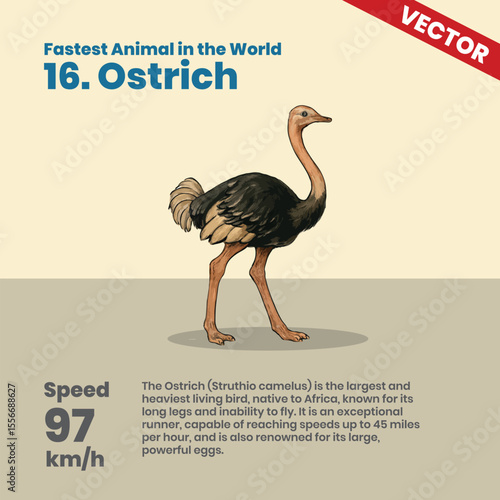 Ostrich, the largest living bird, can reach running speeds of 97 km/h on land despite its inability to fly, making it the fastest bipedal runner while thriving in the African savannah