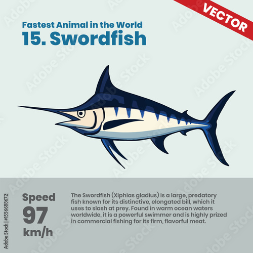Swordfish, a fast predatory fish that can reach 97 km/h in the ocean, using its elongated bill to slash prey and dominate warm waters with its rapid swimming capabilities