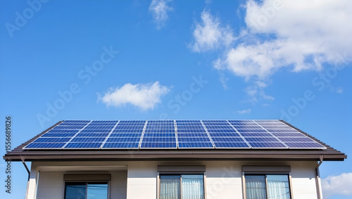 Energy Efficient Home with Photovoltaic Roof System