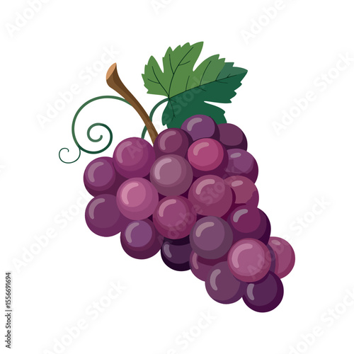 Vibrant Still Life Depiction of a Bunch of Purple Grapes Featuring a Stem with Green Leaves and Tendrils