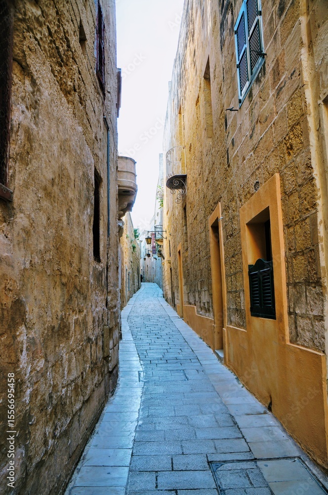 Fototapeta premium イムディーナの風景