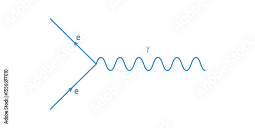 Primitive Vertex of the Feynman Diagram in Physics.
