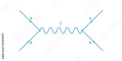 The Feynman Diagram in Physics.