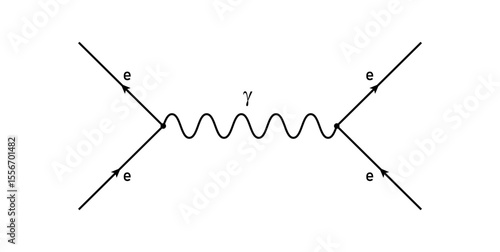 The Feynman Diagram in Physics.
