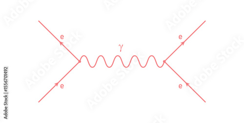 The Feynman Diagram in Physics.