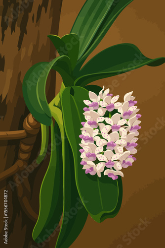 This digital illustration features the Rhynchostylis gigantea orchid, commonly known as the Foxtail Orchid. The orchid is depicted in full bloom, with a dense cluster of creamy-white flowers accented 