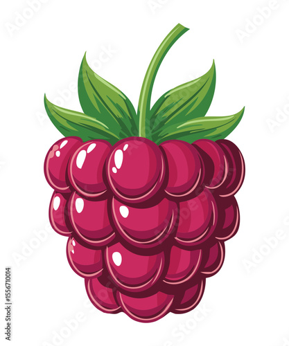Rich Red Raspberry Delight - Vector Illustration