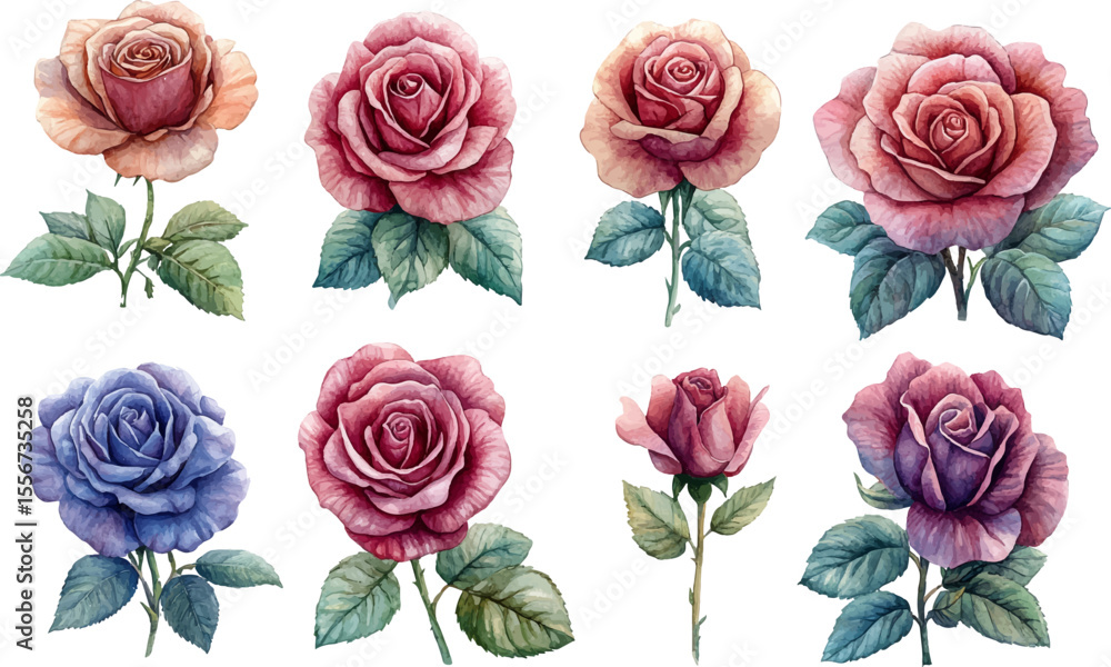 Fototapeta premium set of roses vector illustration
