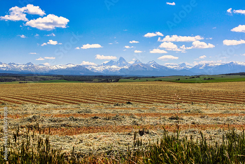Freshly Cut Hay Field with a view of the Grand Teton Mountain Range, Teton Scenic Byway in Eastern Idaho.