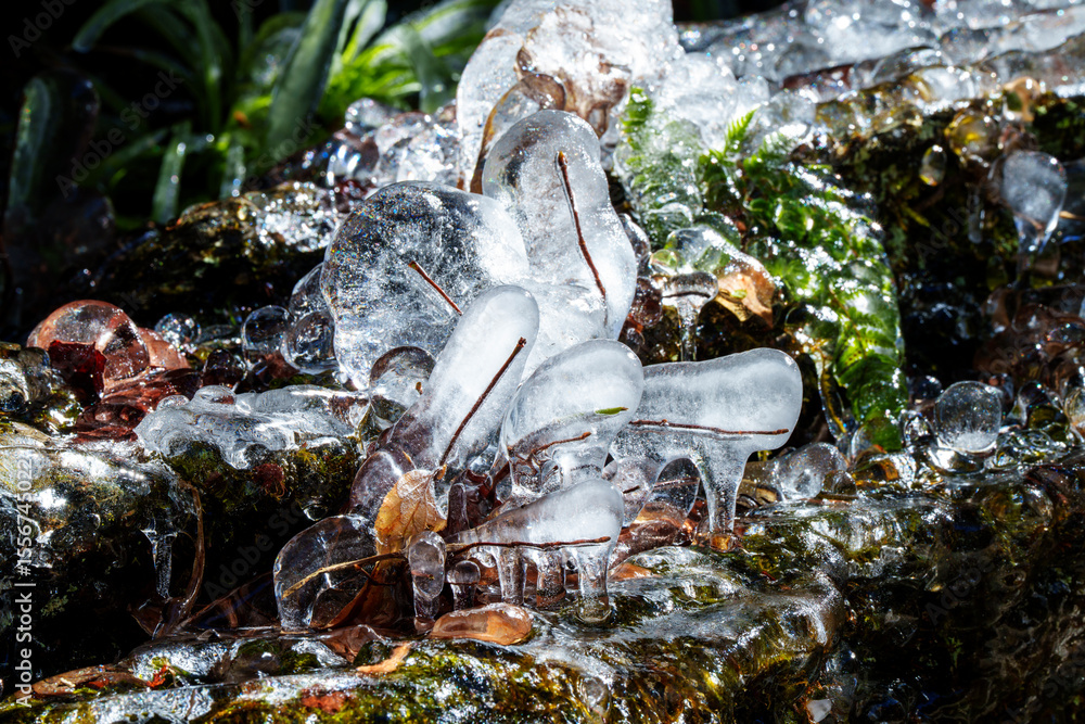 Fototapeta premium 秩父 三十槌の氷柱