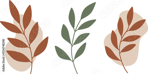 Elegant Botanical Illustrations Set of Three Minimalist Leaves in Earthy Tones