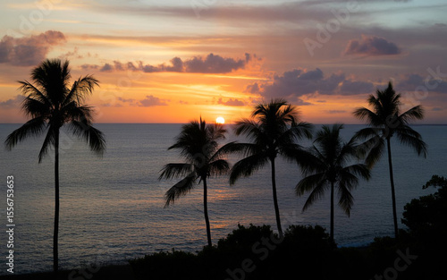Tropical Sunset Silhouette Palm Trees Ocean View