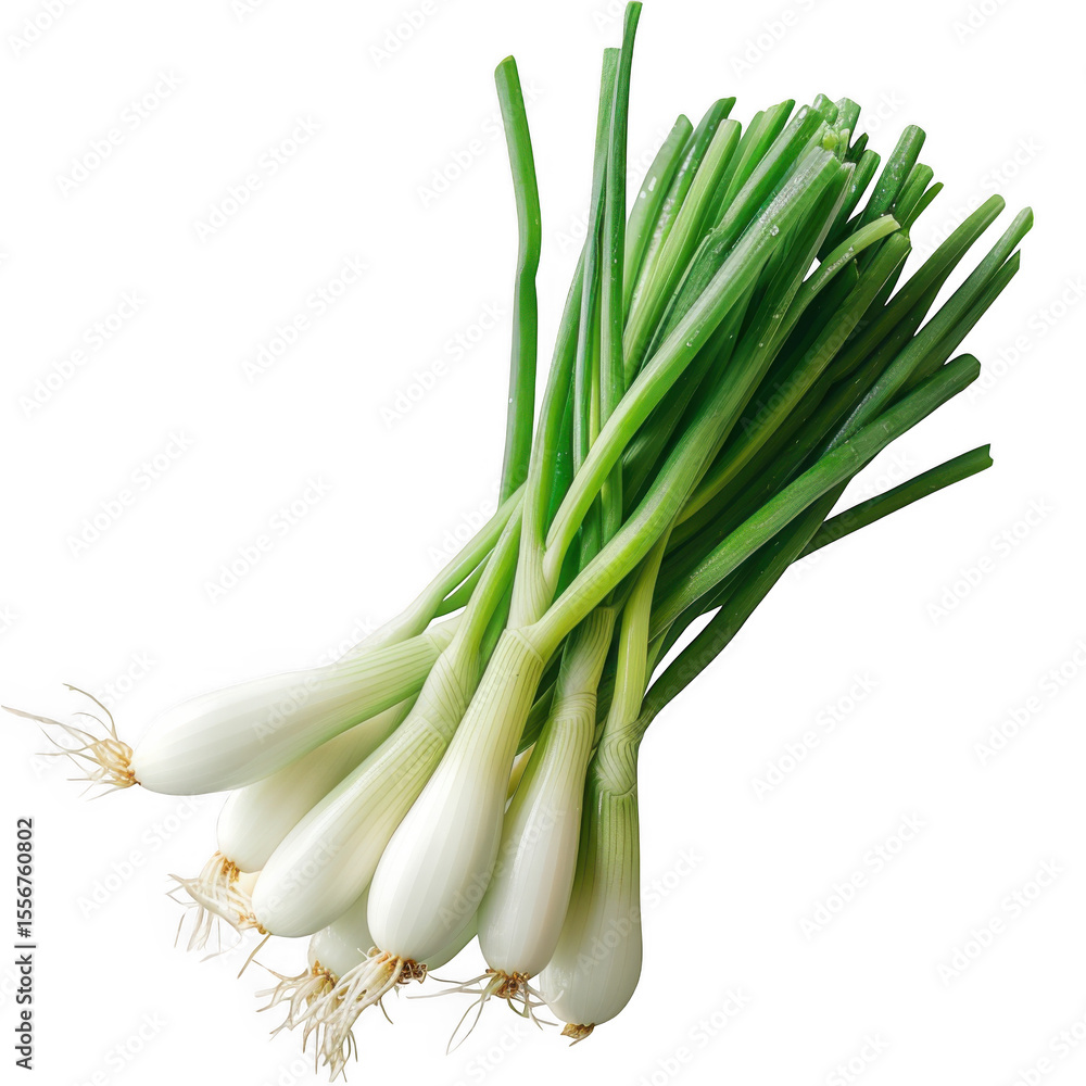 Spring onions on a transparent background-Photoroom. Spring onions on a transparent background-Photoroom.