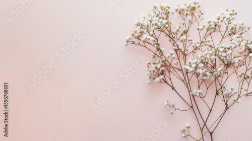 minimal pink dish in soft pastel room