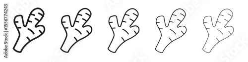 Ginger icon thin flat outline style vector sign