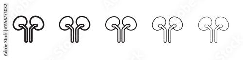 Human kidneys icon thin flat outline style vector sign