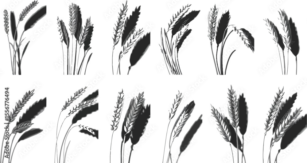 Monochrome wheat stalks in a grid pattern with shadows on white back Monochrome wheat stalks in a grid pattern with shadows on white back