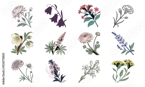Beautiful Hand Drawn Botanical Flower Illustrations Collection In Vintage Pastel Style – Elegant Bloom Designs Perfect For Nature Art, Stationery, And Digital Prints (14)