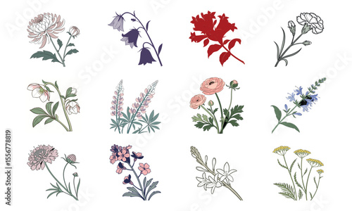 Beautiful Hand Drawn Botanical Flower Illustrations Collection In Vintage Pastel Style – Elegant Bloom Designs Perfect For Nature Art, Stationery, And Digital Prints (13)