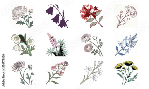Beautiful Hand Drawn Botanical Flower Illustrations Collection In Vintage Pastel Style – Elegant Bloom Designs Perfect For Nature Art, Stationery, And Digital Prints (10)