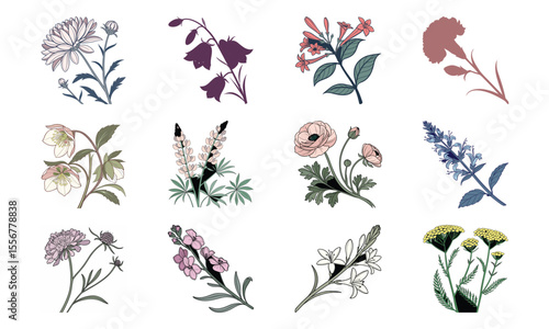 Beautiful Hand Drawn Botanical Flower Illustrations Collection In Vintage Pastel Style – Elegant Bloom Designs Perfect For Nature Art, Stationery, And Digital Prints (16)
