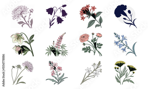Beautiful Hand Drawn Botanical Flower Illustrations Collection In Vintage Pastel Style – Elegant Bloom Designs Perfect For Nature Art, Stationery, And Digital Prints (17)