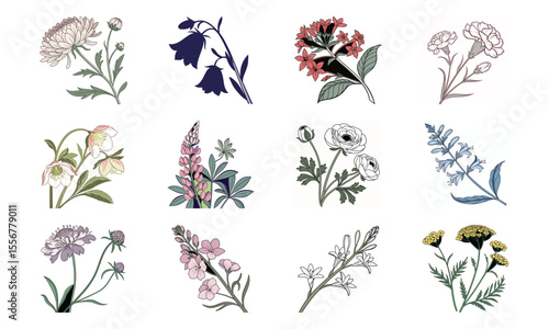 Beautiful Hand Drawn Botanical Flower Illustrations Collection In Vintage Pastel Style – Elegant Bloom Designs Perfect For Nature Art, Stationery, And Digital Prints (5)
