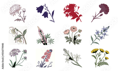 Beautiful Hand Drawn Botanical Flower Illustrations Collection In Vintage Pastel Style – Elegant Bloom Designs Perfect For Nature Art, Stationery, And Digital Prints (6)