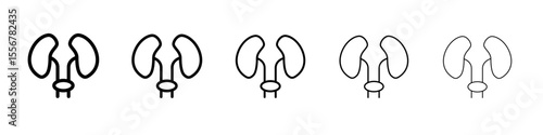 Urinary system icon thin flat outline style vector sign