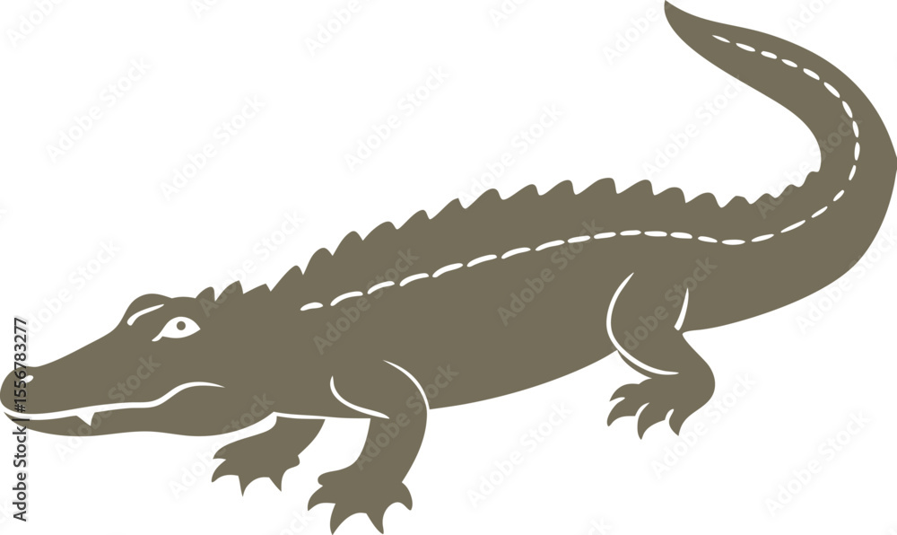 Naklejka premium crocodile isolated on white