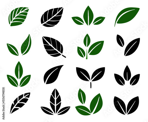 Two leaves icon. Leaf symbol. Nature organic isolated illustration. Vegetarian or vegan label. Green eco logo.