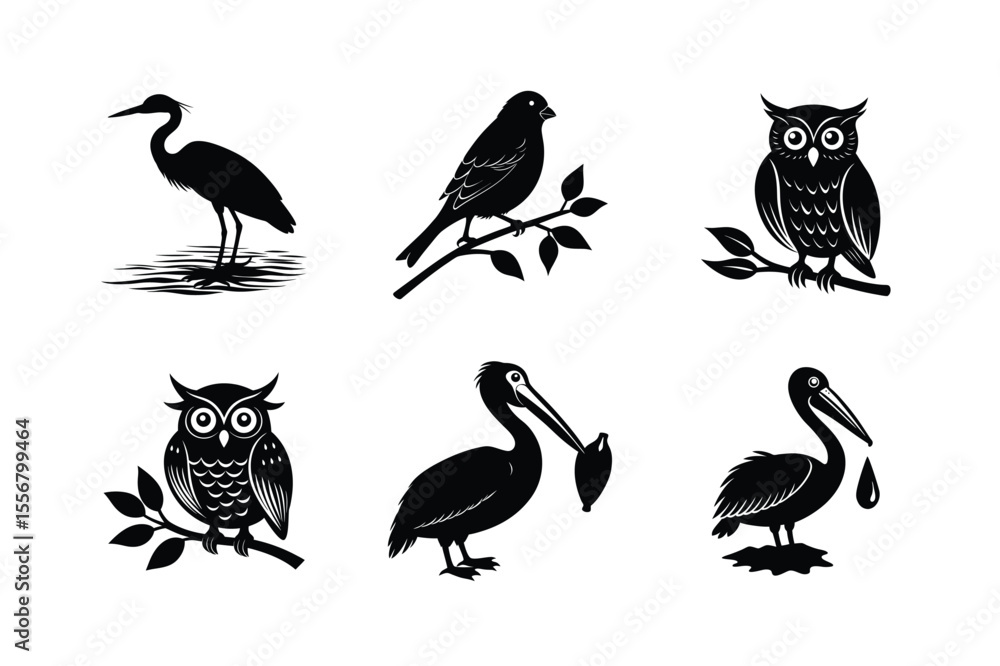 Obraz premium Diverse bird outlines and poses for visual content Silhouette Vector illustration