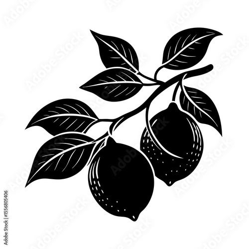 vector illustration of an apple Silhouette with a transparent background