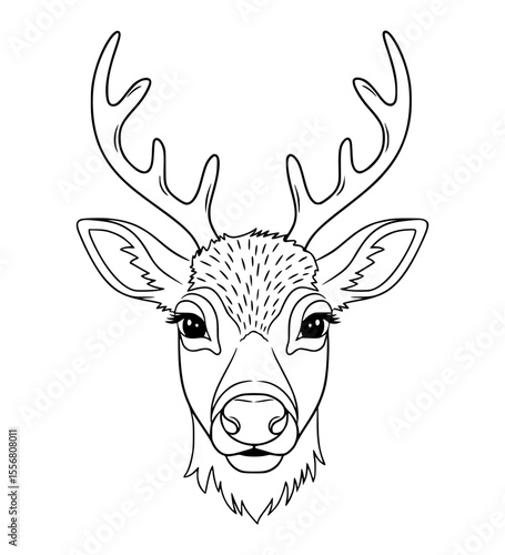 Curious Reindeer Face Line Art
