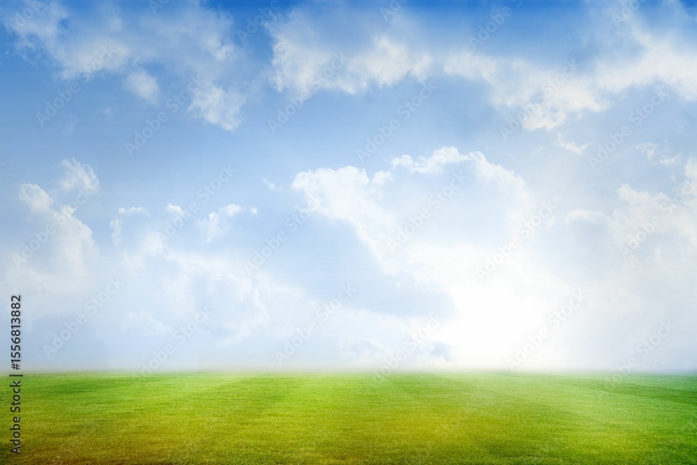 Fototapeta premium Football pitch under blue sky