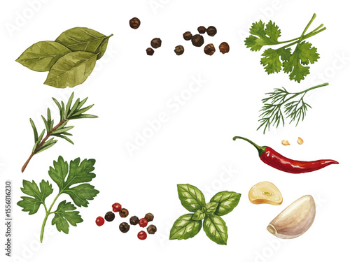 Vector watercolor spice herb / 水彩テイストのスパイスとハーブイラスト
