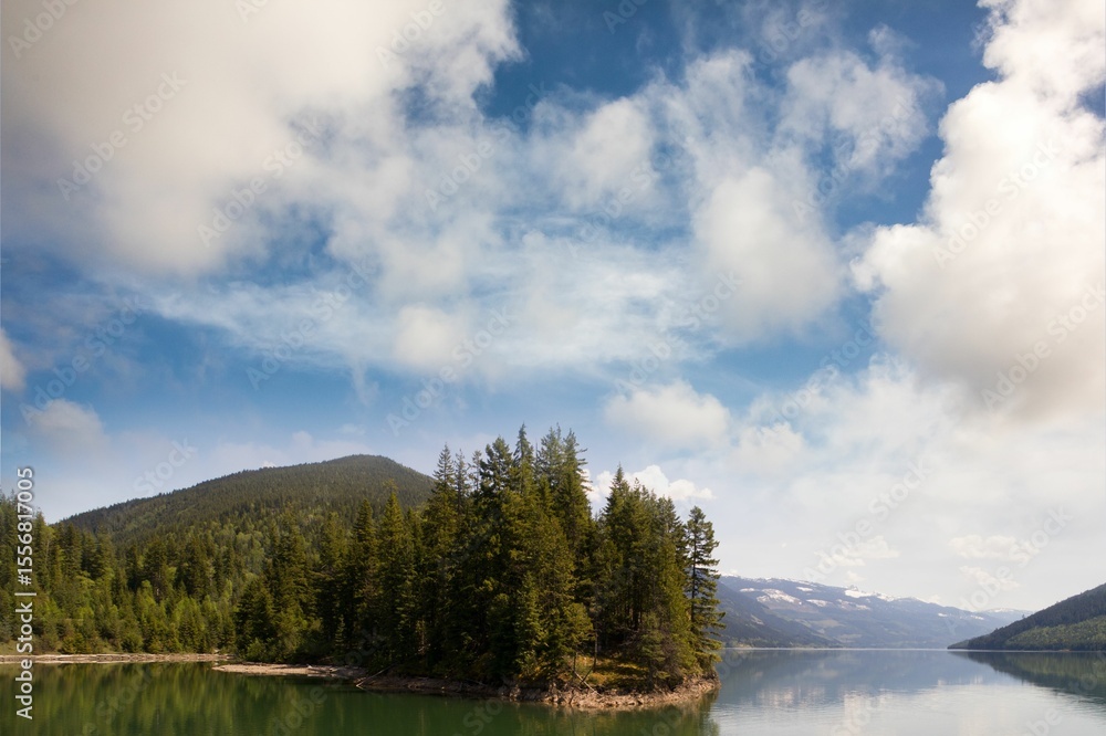 Obraz premium Trees growing by lake and mountains against sky