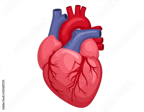 Colorful heart illustration
